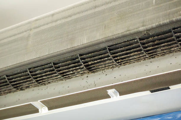 Best Air Vent Cleaning Services  in Clayton, IN